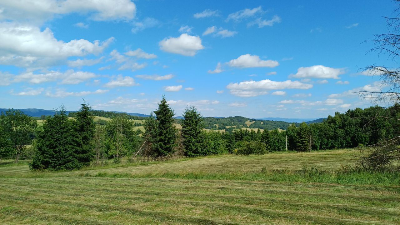 Działka rolna Krajanów. Zdjęcie 8