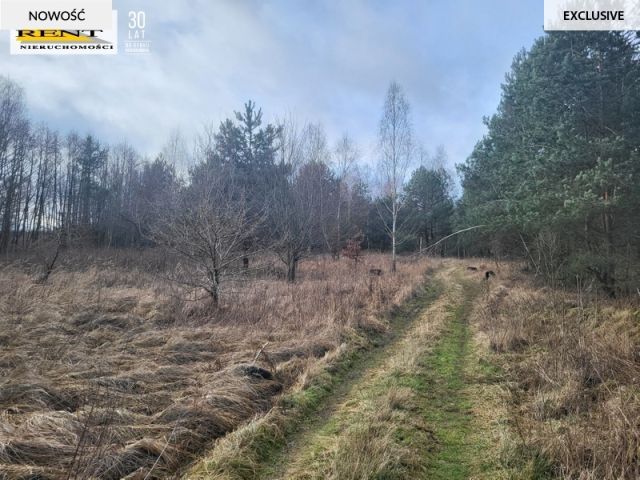 Działka rekreacyjna Chłopowo. Zdjęcie 7