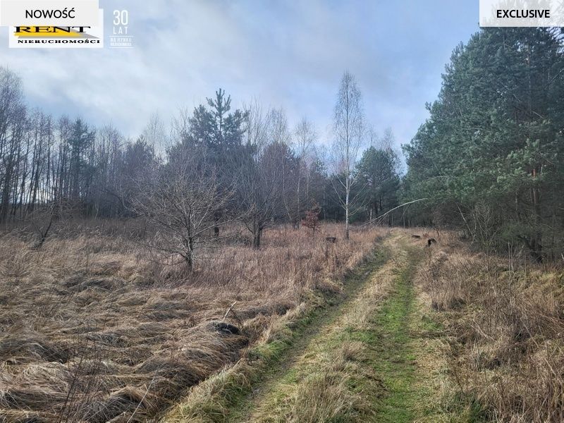 Działka rekreacyjna Chłopowo. Zdjęcie 7