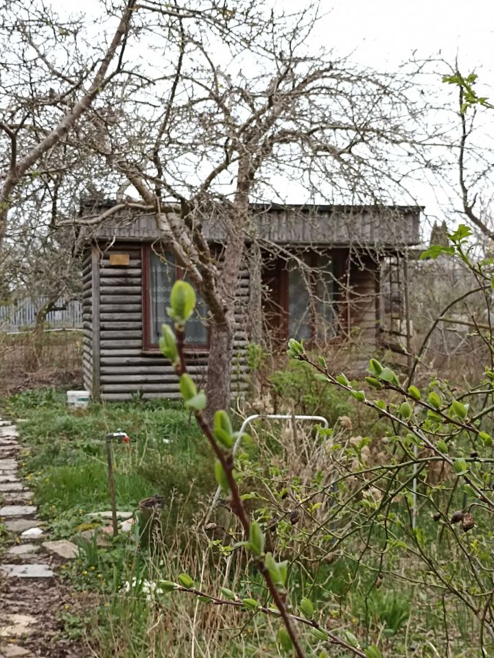 Działka rod Wójtowo. Zdjęcie 2