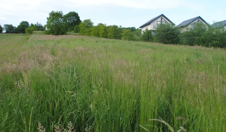 Działka budowlana Mucharz