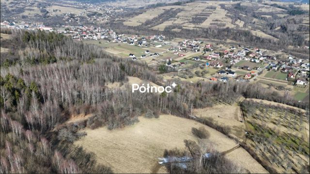 Działka rolna Kamienica. Zdjęcie 2