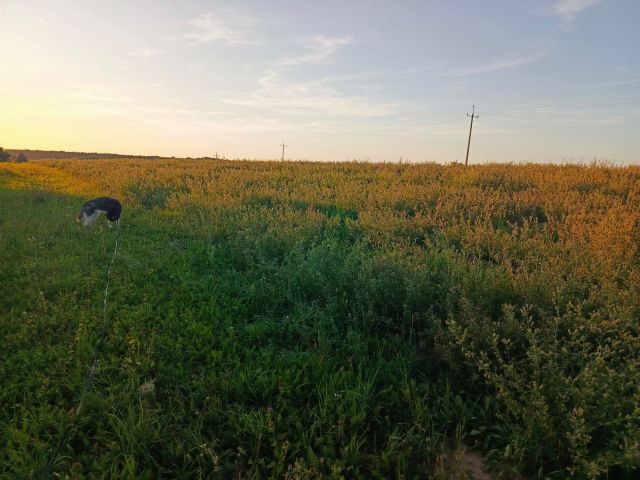 Działka budowlana Pobiedziska, ul. Goślińska. Zdjęcie 1