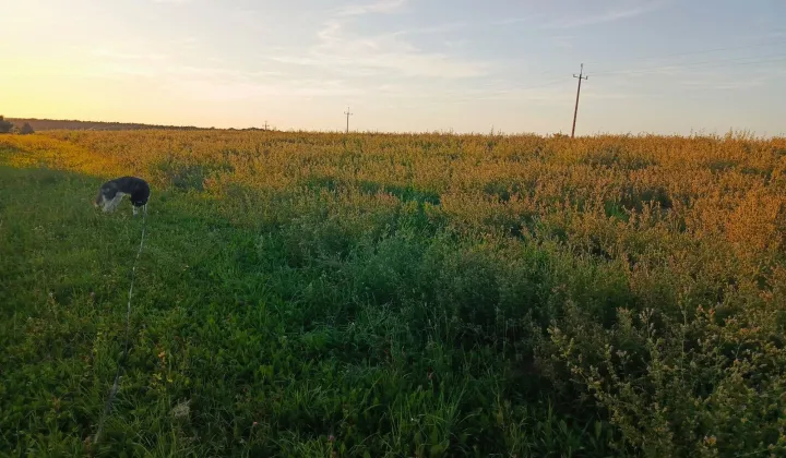 Działka budowlana Pobiedziska, ul. Goślińska