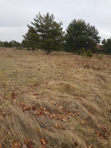 Działka budowlana Szczechy Wielkie. Zdjęcie 1