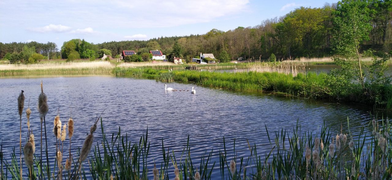 Działka rolna Bledzew Tymiana, ul. Tymiany. Zdjęcie 42