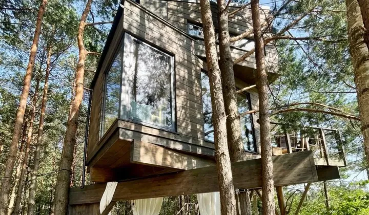 Działka leśna Radachówka