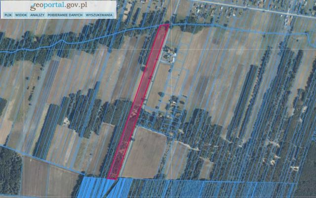 Działka siedliskowa Gruszczyno. Zdjęcie 1