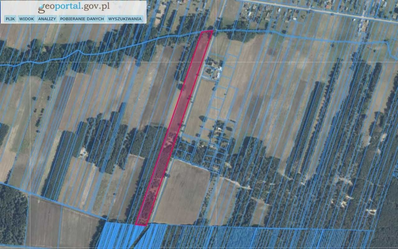 Działka siedliskowa Gruszczyno