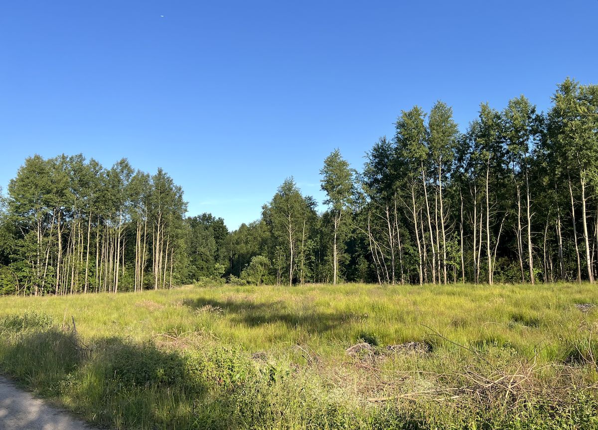 Działka budowlana Paruchy. Zdjęcie 2