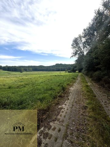 dom wolnostojący, 7 pokoi Kłanino. Zdjęcie 30