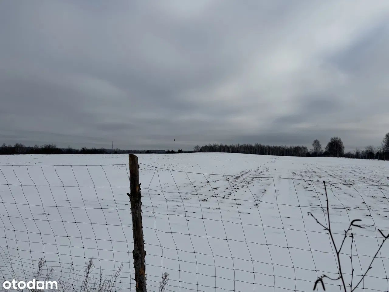 Działka budowlana Łódź Sikawa, ul. Listopadowa. Zdjęcie 7