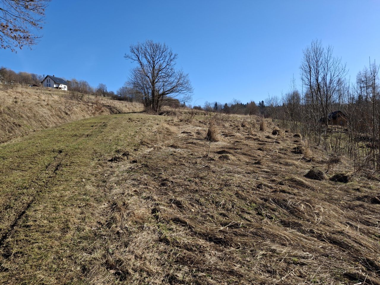 Działka rolno-budowlana Lubatowa. Zdjęcie 2