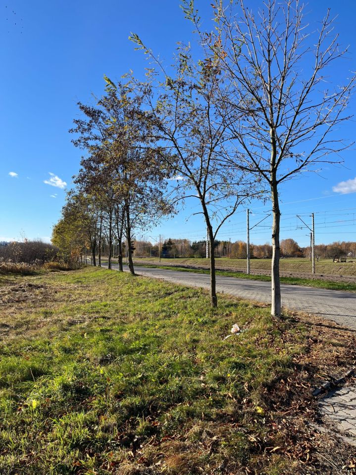 Działka budowlana Cegłów. Zdjęcie 2