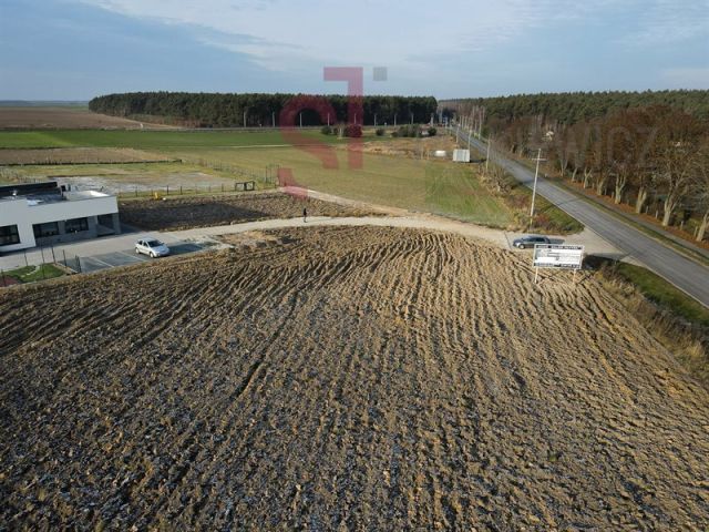 Działka Wschowa. Zdjęcie 9