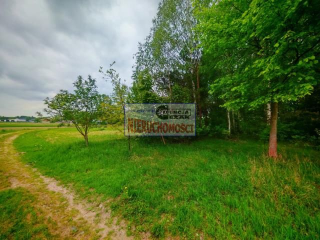 Działka rolno-budowlana Dłużew. Zdjęcie 4