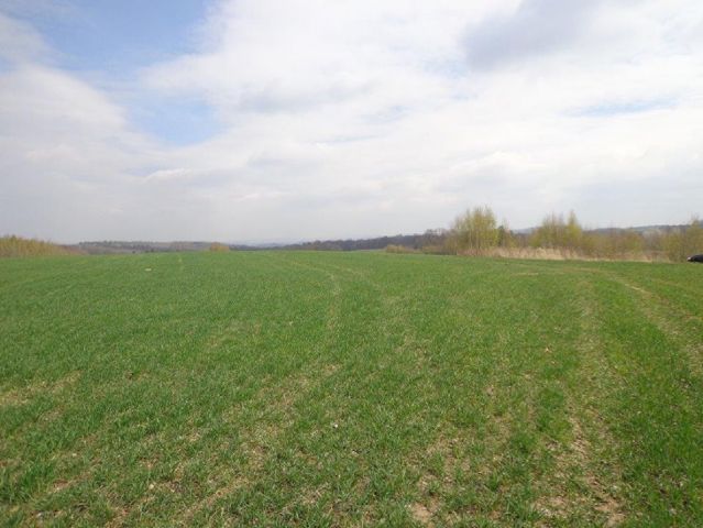 Działka rolna Niwnice. Zdjęcie 1