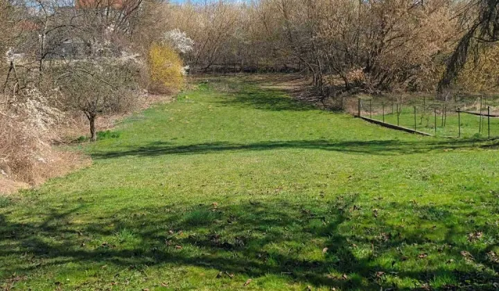 Działka rolno-budowlana Sandomierz Gołębice, ul. Wincentego Burka