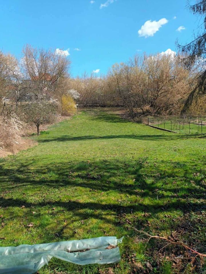 Działka rolno-budowlana Sandomierz Gołębice, ul. Wincentego Burka