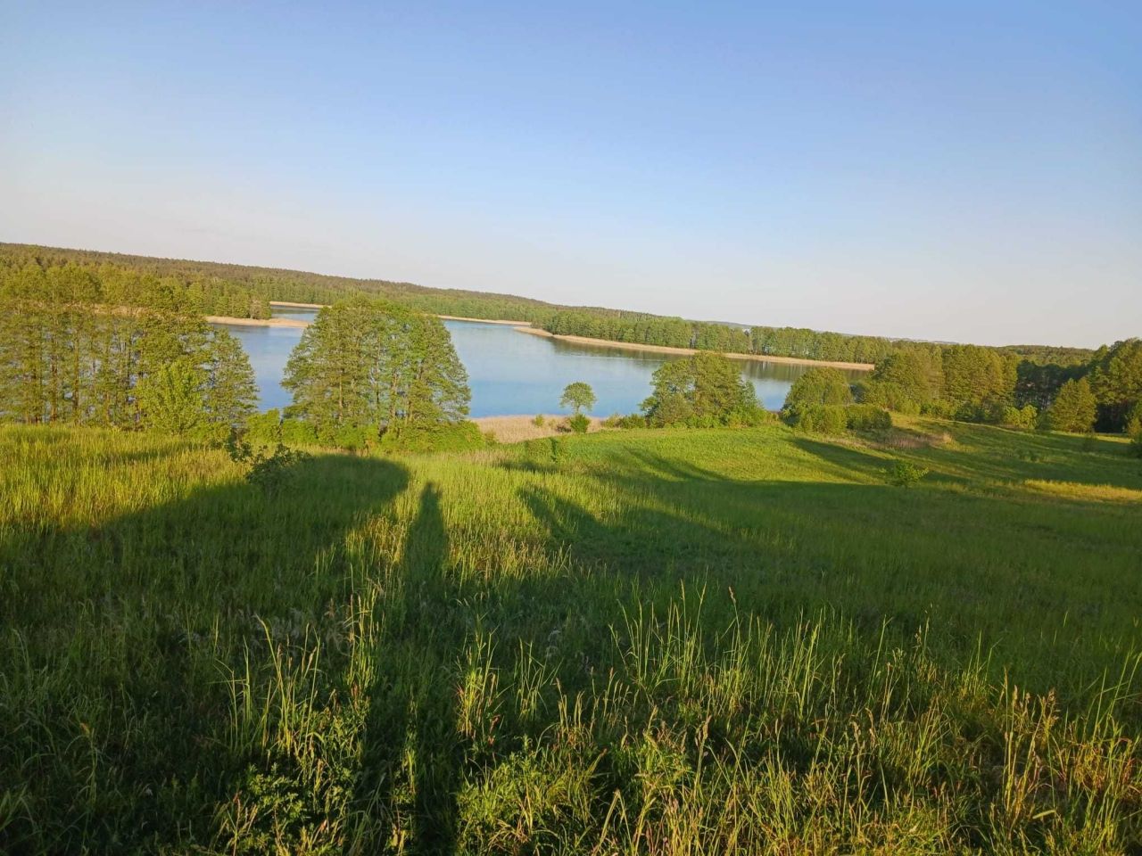 Działka rolna Notyst Mały. Zdjęcie 8