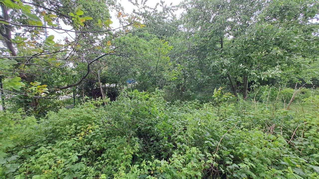 Działka rod Ciechanów. Zdjęcie 2