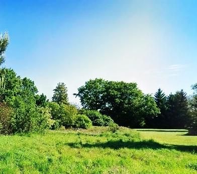 Działka budowlana Jędrzychów. Zdjęcie 1