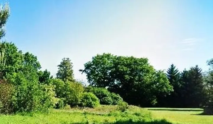 Działka budowlana Jędrzychów