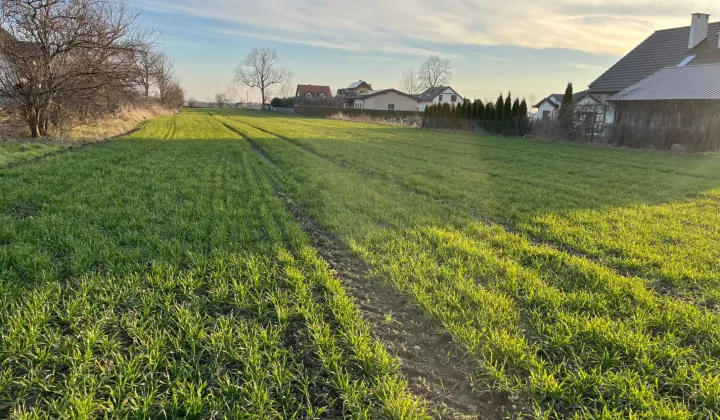 Działka budowlana Szamotuły, ul. Gąsawska