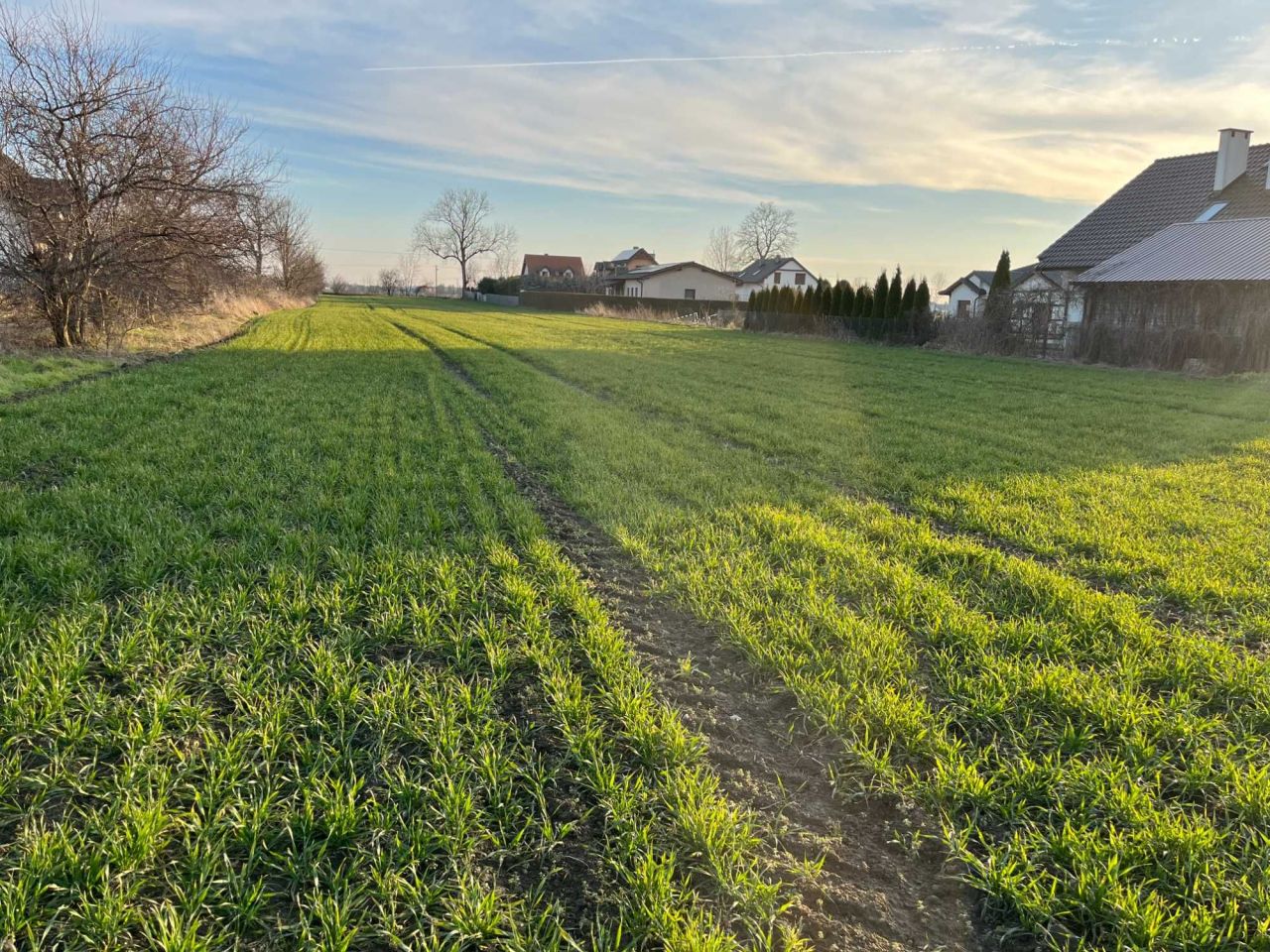 Działka budowlana Szamotuły, ul. Gąsawska. Zdjęcie 1