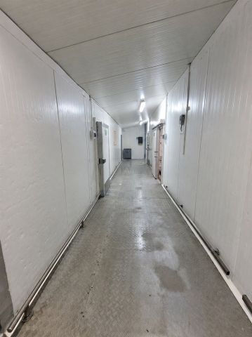 Hala/magazyn Sosnowiec Pogoń, ul. Plonów. Zdjęcie 5