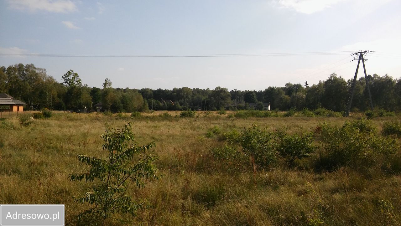 Działka rolno-budowlana Masłońskie. Zdjęcie 4