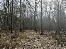 Działka leśna Nowy Prażmów, ul. Leśna. Zdjęcie 3