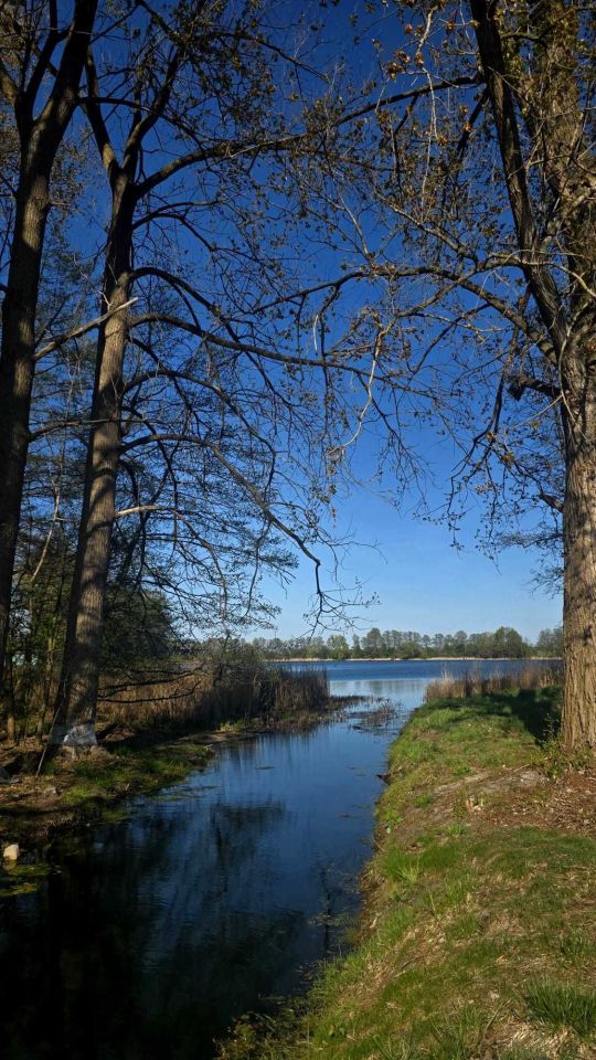 Działka budowlana Obra. Zdjęcie 2
