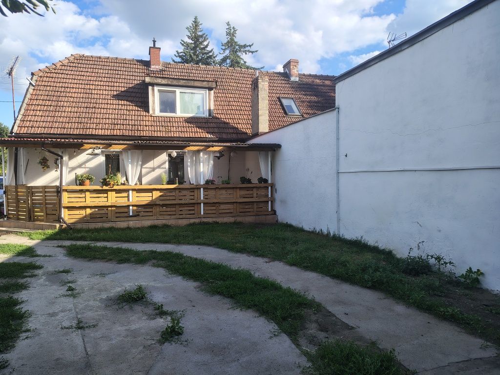 bliźniak Toruń Czerniewice. Zdjęcie 6