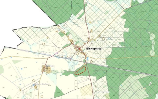 Działka inwestycyjna Biskupnica. Zdjęcie 13