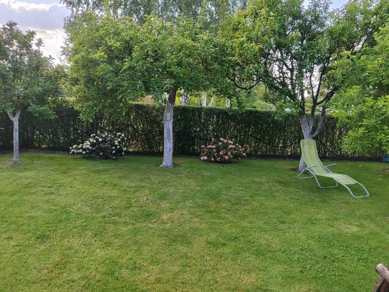 Działka rod Lubin. Zdjęcie 6