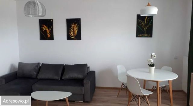 Mieszkanie 1-pokojowe Łódź Śródmieście, ul. dr. Stefana Kopcińskiego. Zdjęcie 1