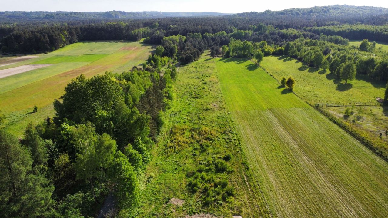 Działka budowlana Ogorzelnik. Zdjęcie 10