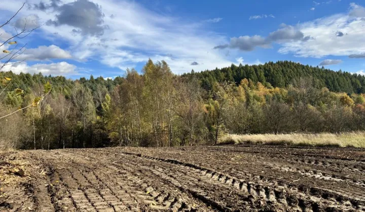 Działka budowlana Ryczówek, ul. Zadolna