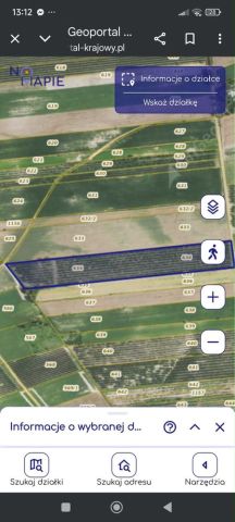 Działka rolna Wilczyce. Zdjęcie 1