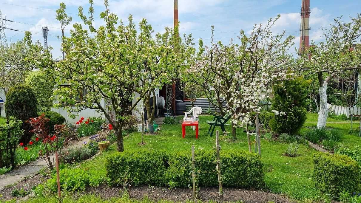 Działka rod Opole. Zdjęcie 4