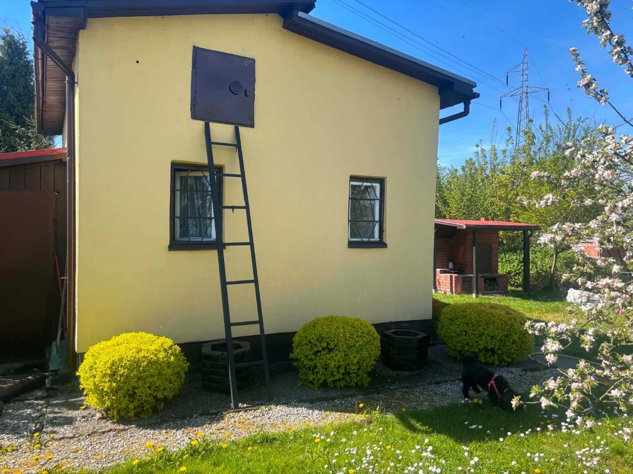Działka rod Czechowice-Dziedzice. Zdjęcie 1