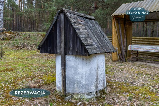 Działka leśna Kije. Zdjęcie 12