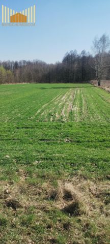 Działka budowlana Mrozy. Zdjęcie 1