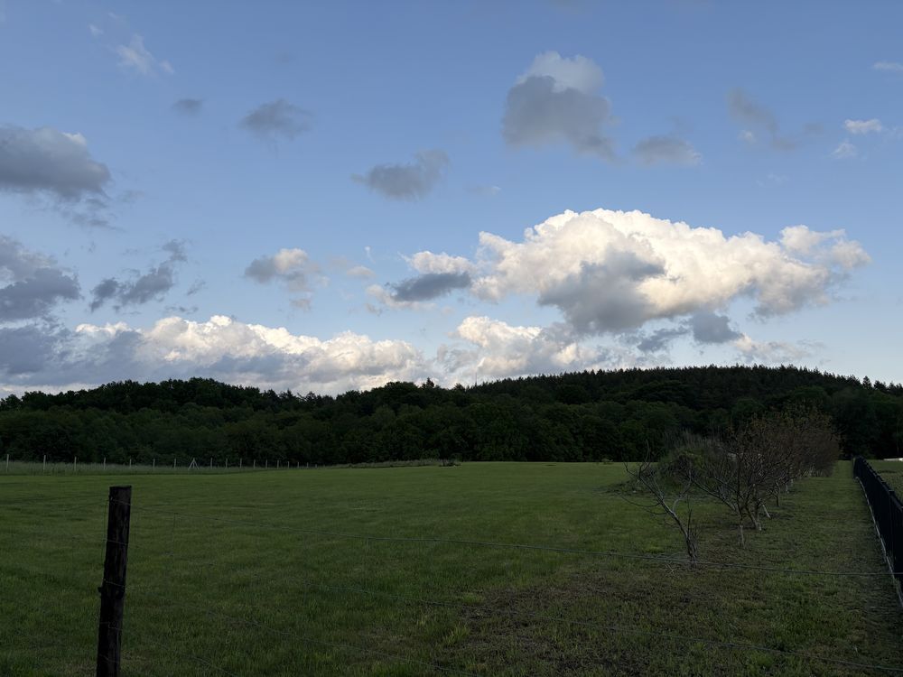 Działka rolna Stare Borne. Zdjęcie 3