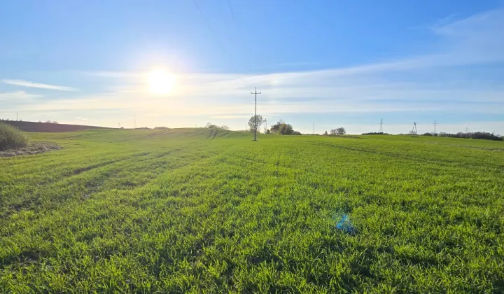Działka rolna Kulmaga