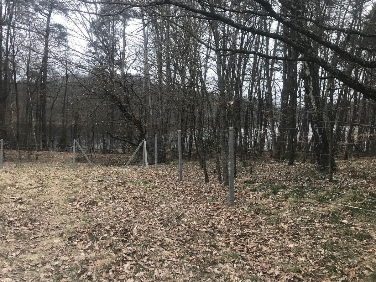 Działka budowlana Pławno. Zdjęcie 13