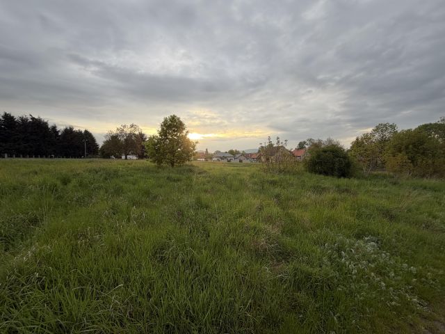 Działka budowlana Oleszna, ul. Błękitna. Zdjęcie 1