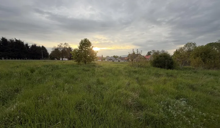 Działka budowlana Oleszna, ul. Błękitna