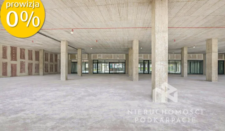 Lokal Rzeszów, ul. Fryderyka Szopena